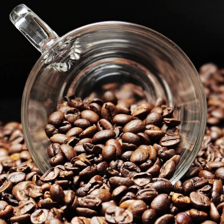 Top 3 Best Vancouver Coffee Roasters (Canadian Coffee Roastery)