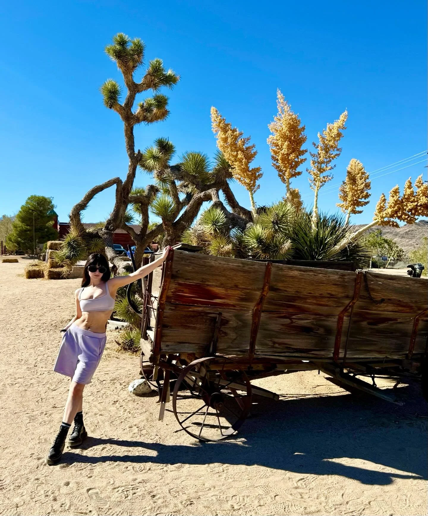 I might&rsquo;ve gotten a few splinters&hellip; Back to snow this week so gonna miss this.
&bull;
&bull;
&bull;
&bull;
#california #losangeles #pioneertown #cali #outdoors