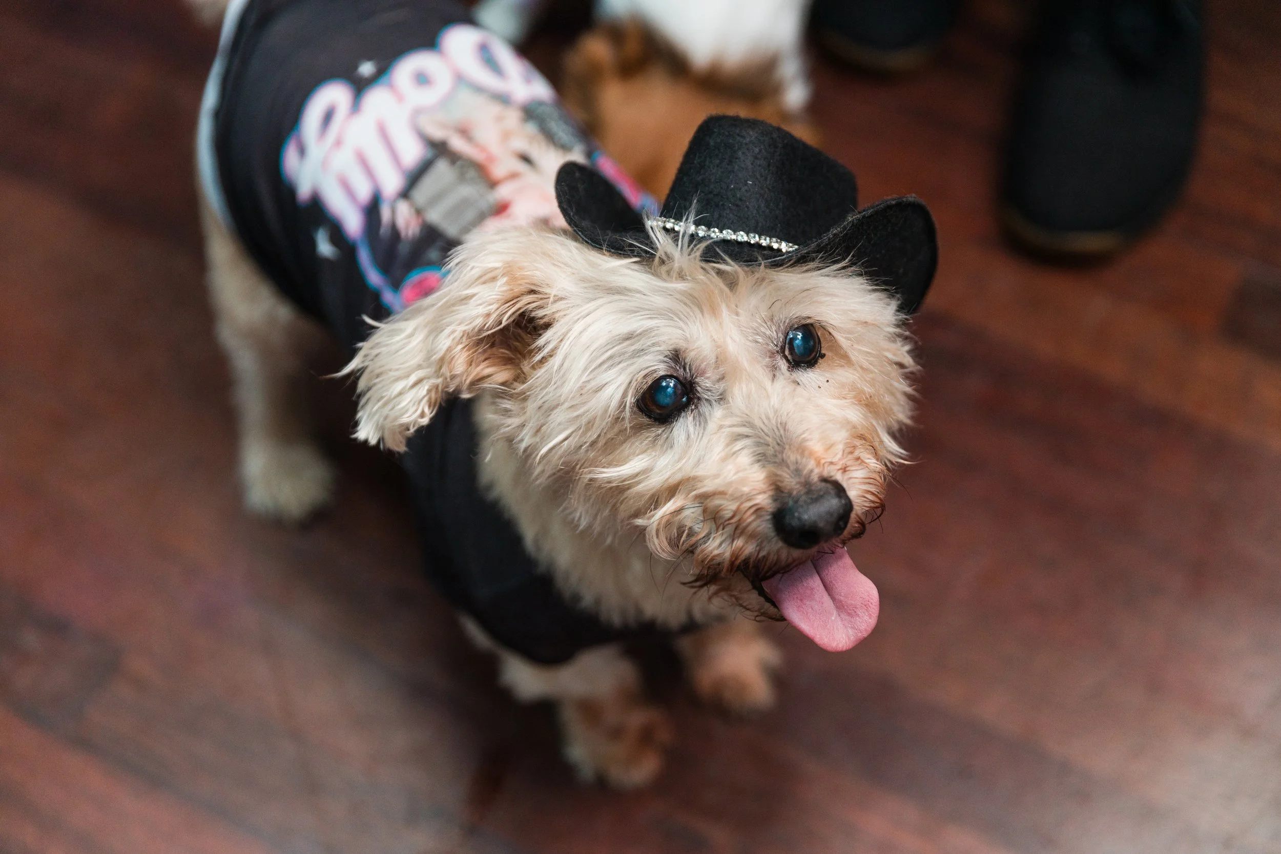 jun2024_jimbrodie_rupaw-sidetrack-best-1.jpg