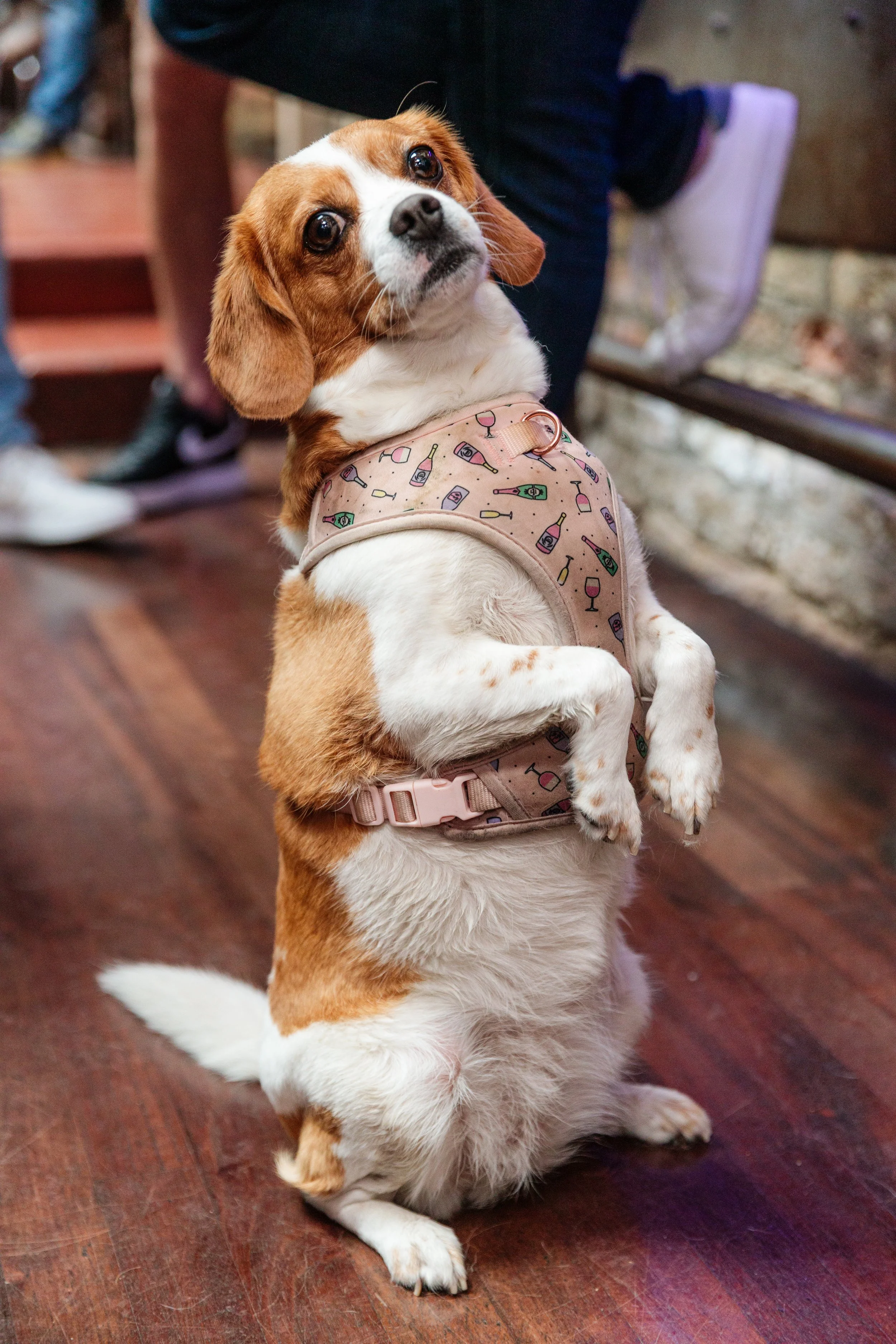 jun2024_jimbrodie_rupaw-sidetrack-best-22.jpg