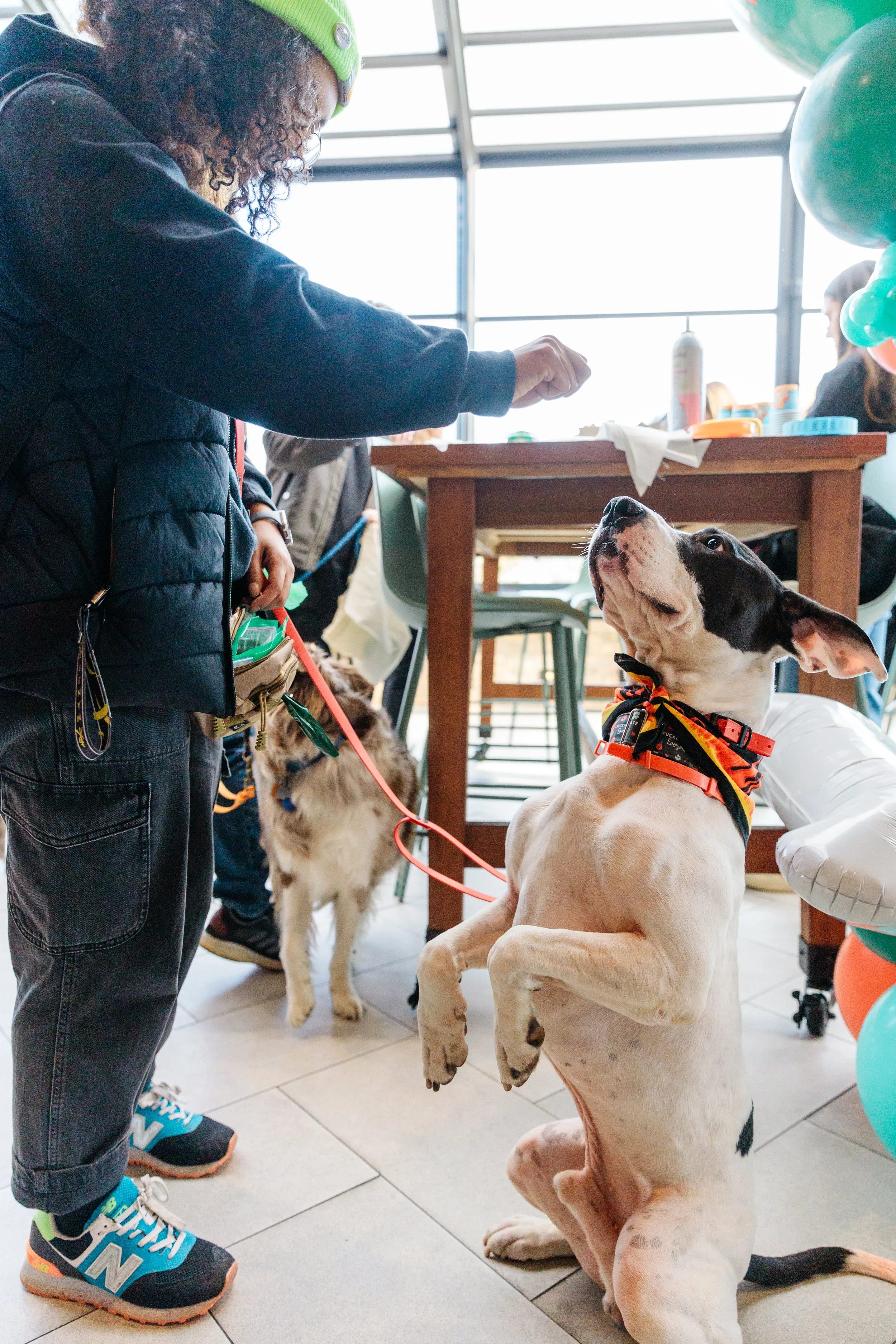 110224_jimbrodie_Sploot-ribbon-cutting-party-160.jpg