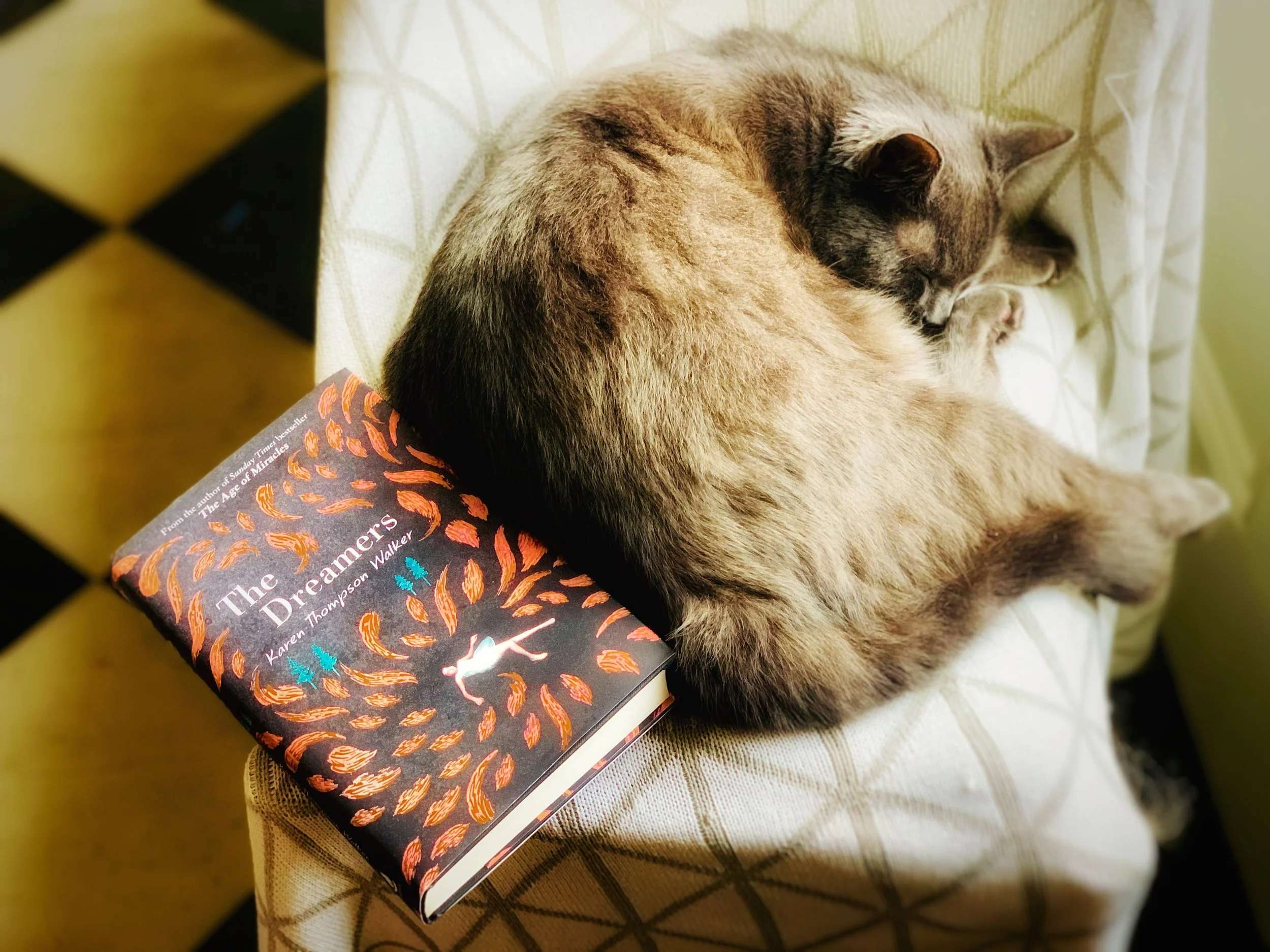 Miku the Literary Cat Review: Karen Thompson Walker's The Dreamers