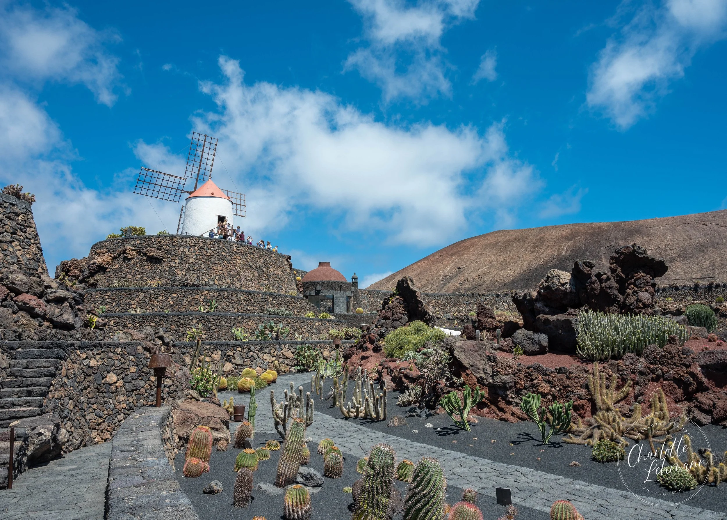 Lanza Summer 24-2.JPG