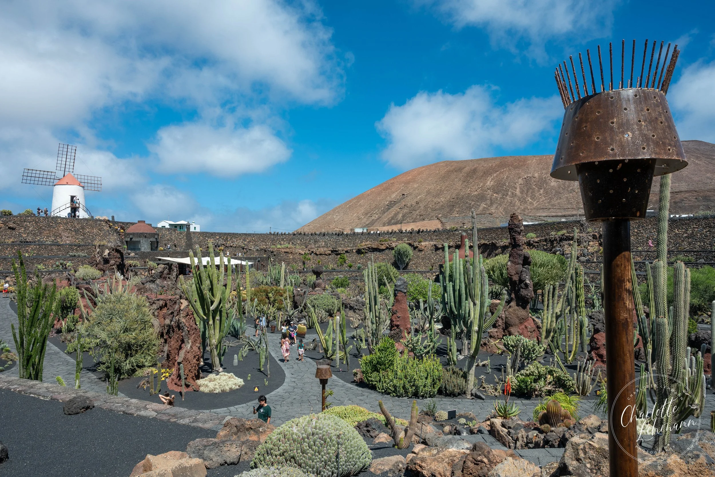 Lanza Summer 24-5.JPG