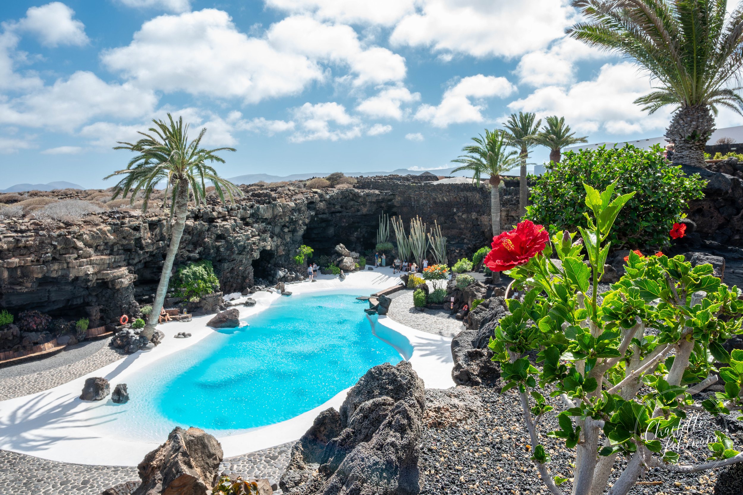 Lanza Summer 24-10.JPG