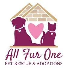 All Fur One Pet Rescue &amp; Adoptions Pop Up!