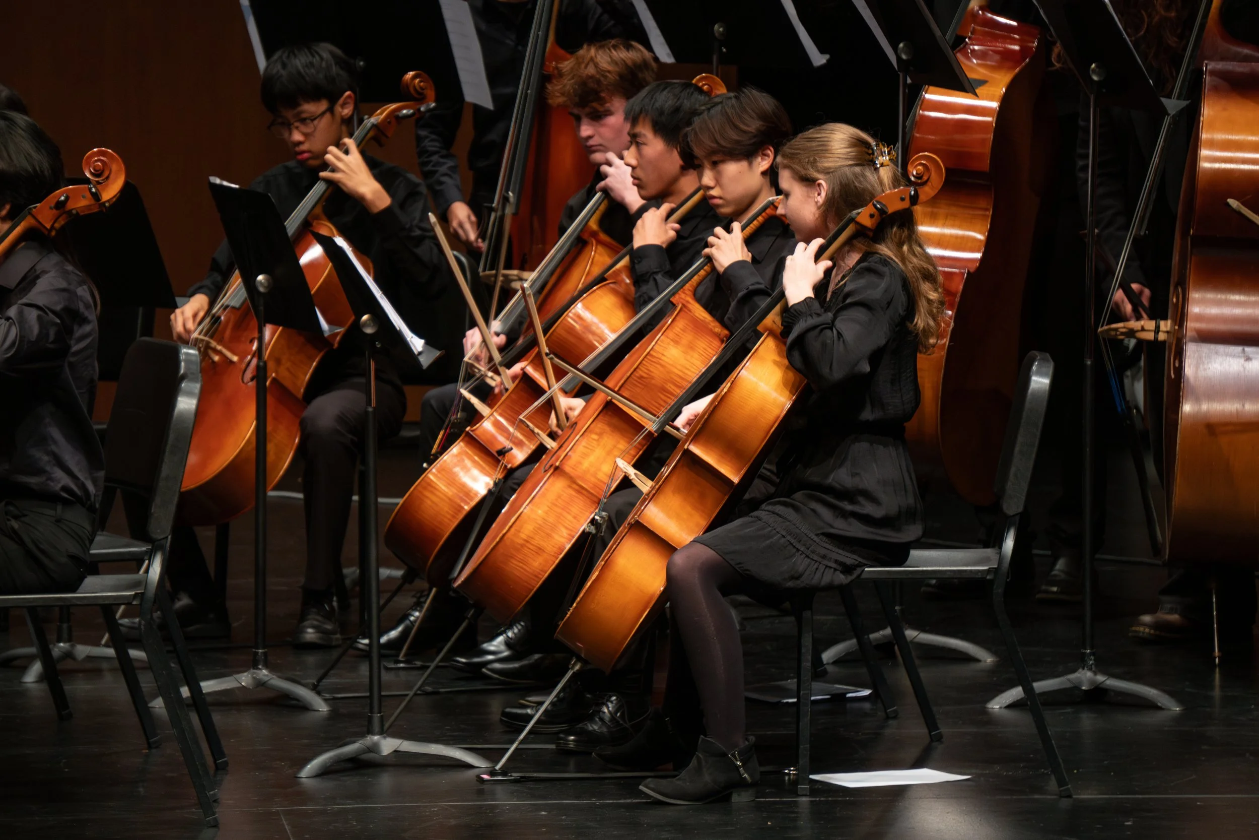 Orchestra 1.jpg