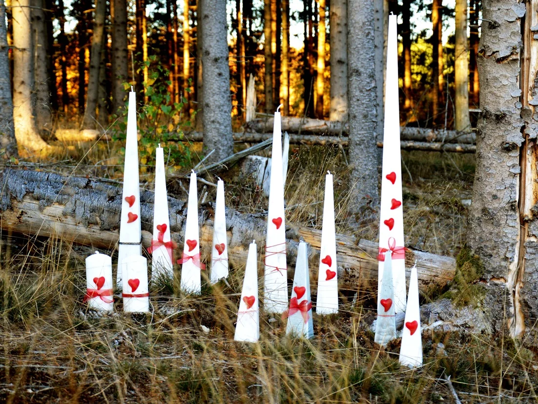 Ljushuset.jpg
