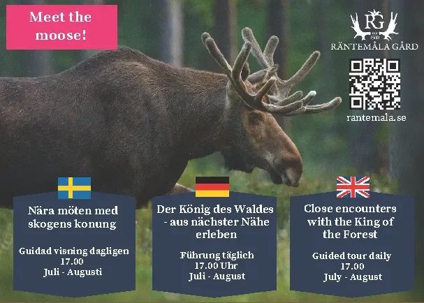 Annons Camping_RG_ 2025.webp