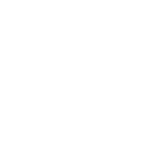 logo_flux.png