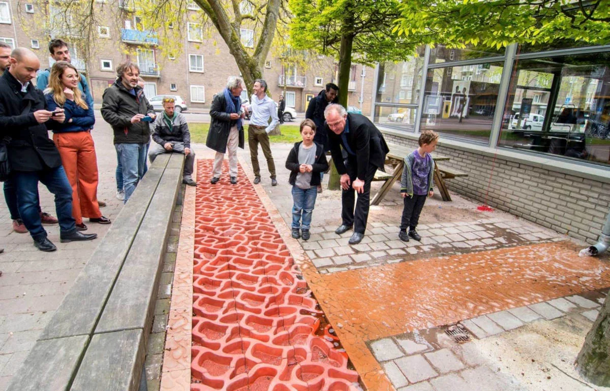 Rain water collecting