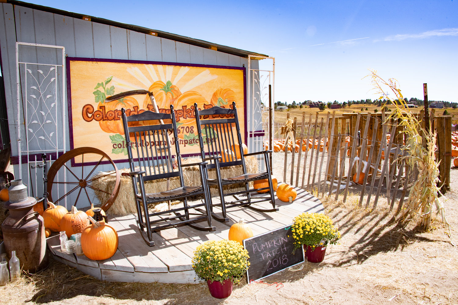 Colorado Pumpkin Patch