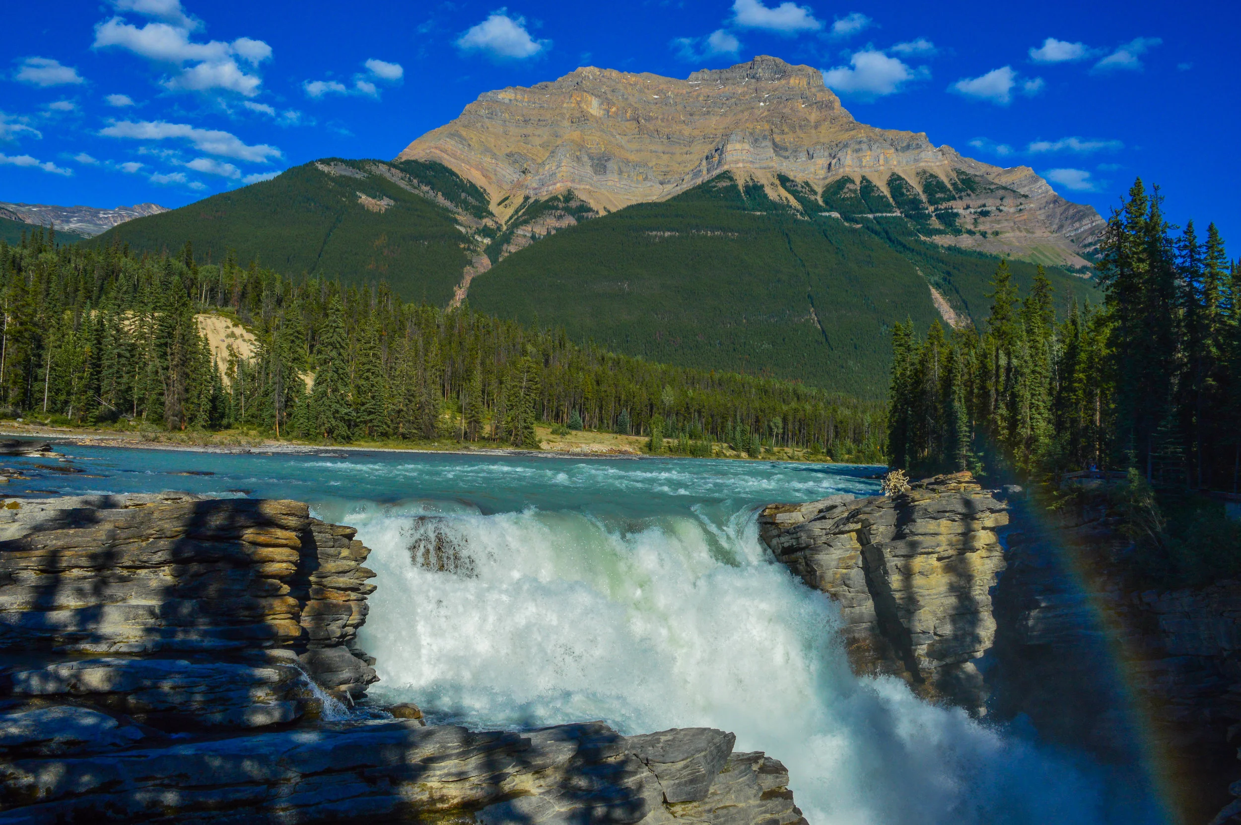 DSC_0094.jpg