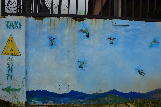 One of my favorite things about this small town was the amount of beautiful murals located around just about every corner!