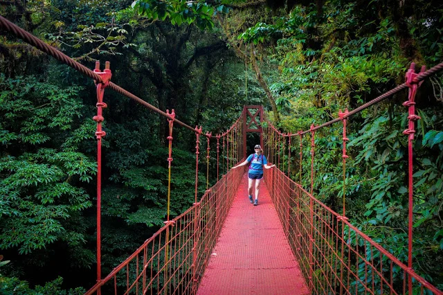 Hanging bridge