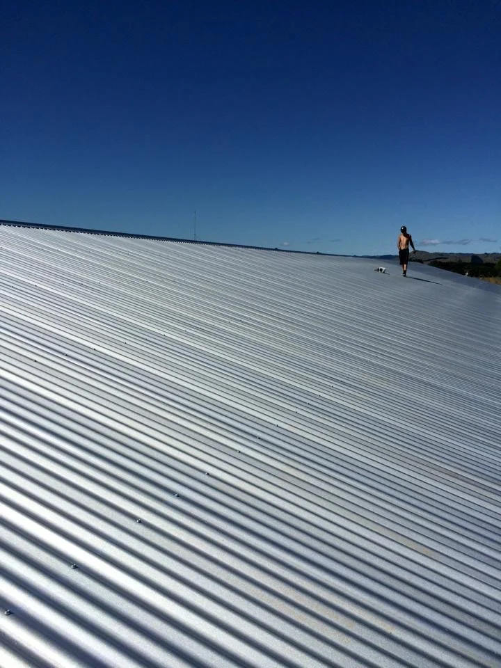 Gisborne Roof 