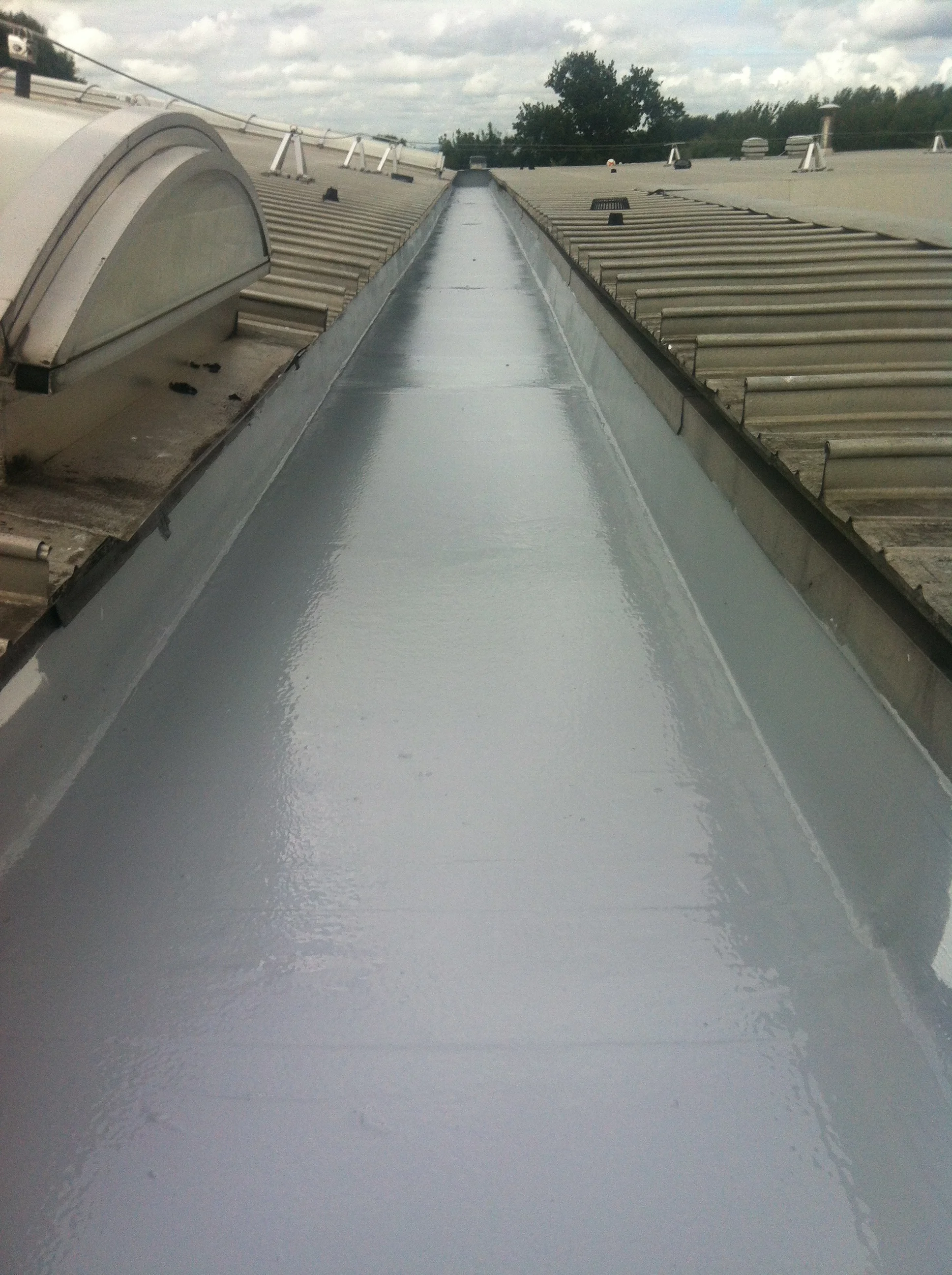 *We don’t own this image, was taken from Viking website