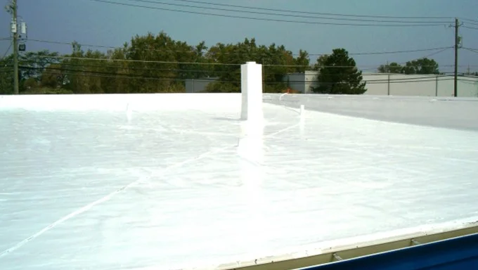 *We don’t own this image, was taken from Viking website