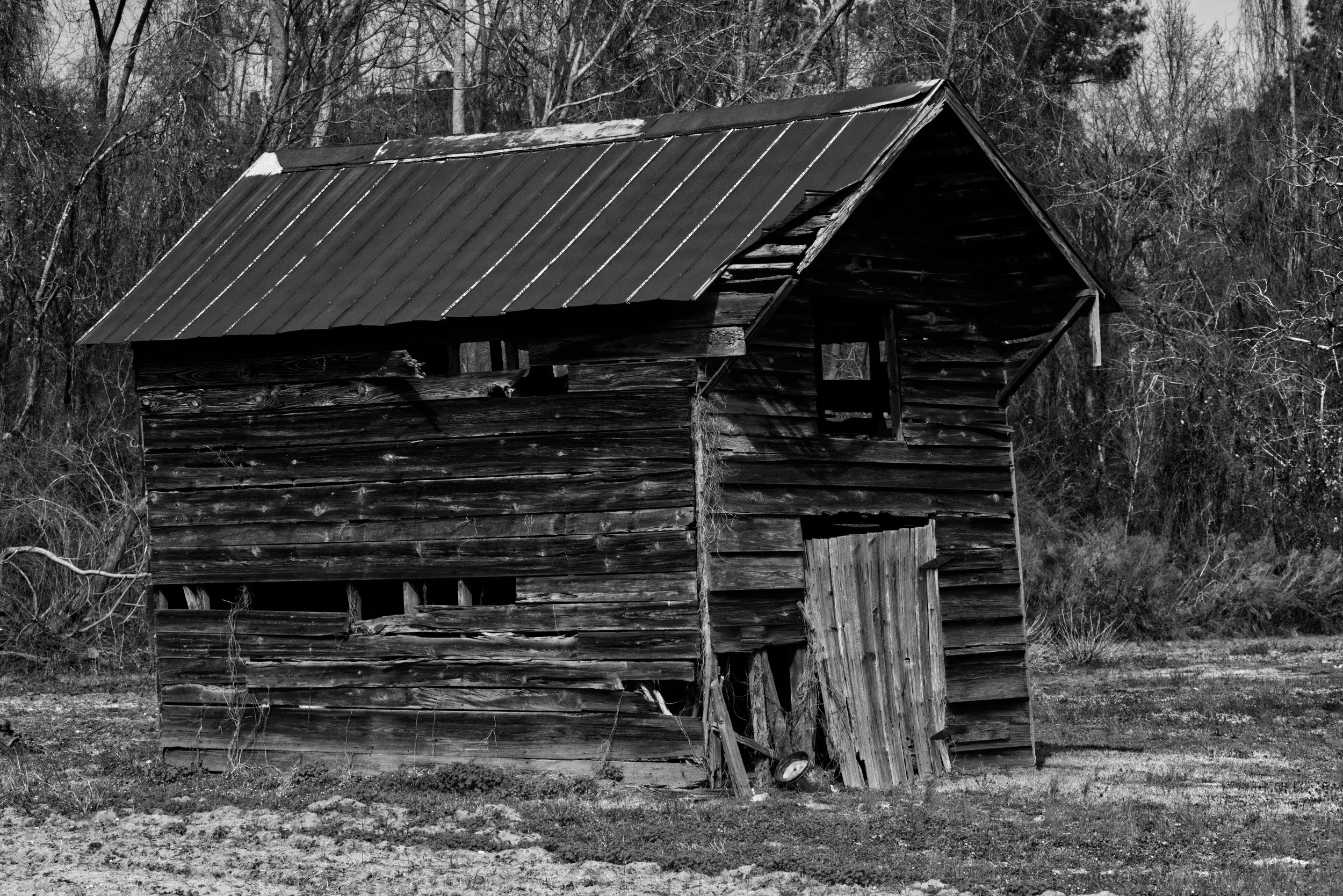 barn Band W.jpg