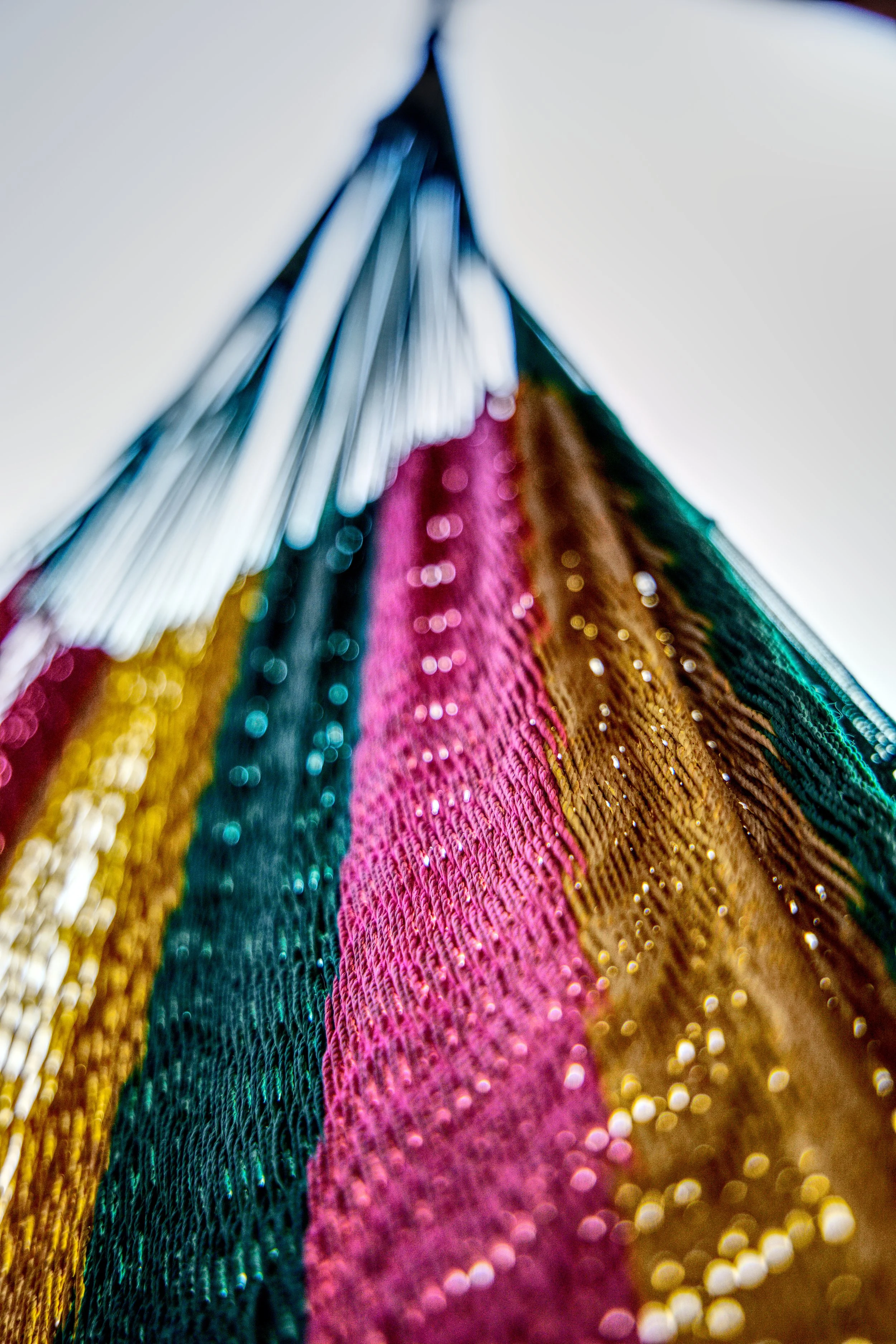 hammock 20mb.jpg