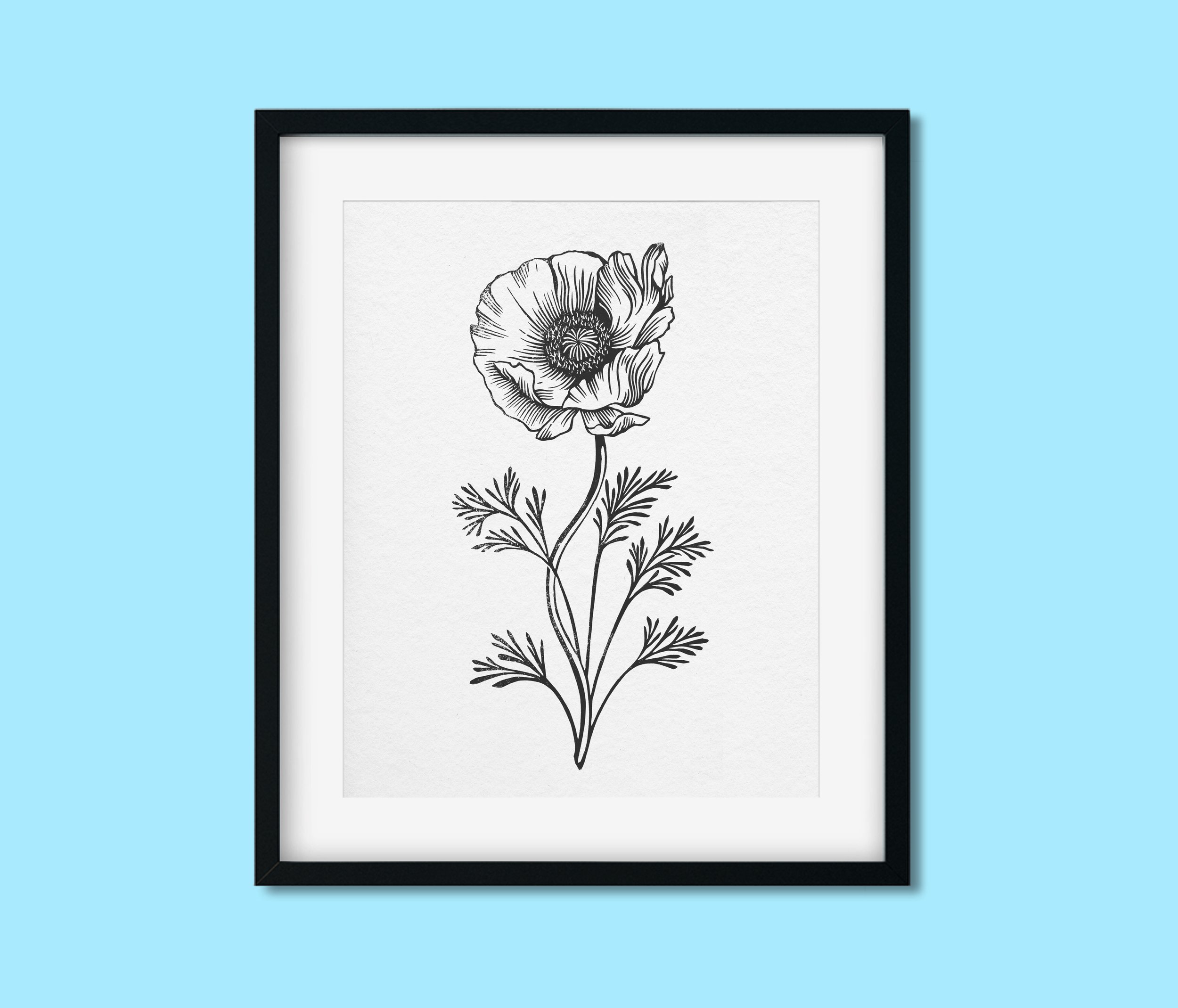 Poppy.2.frame.jpg