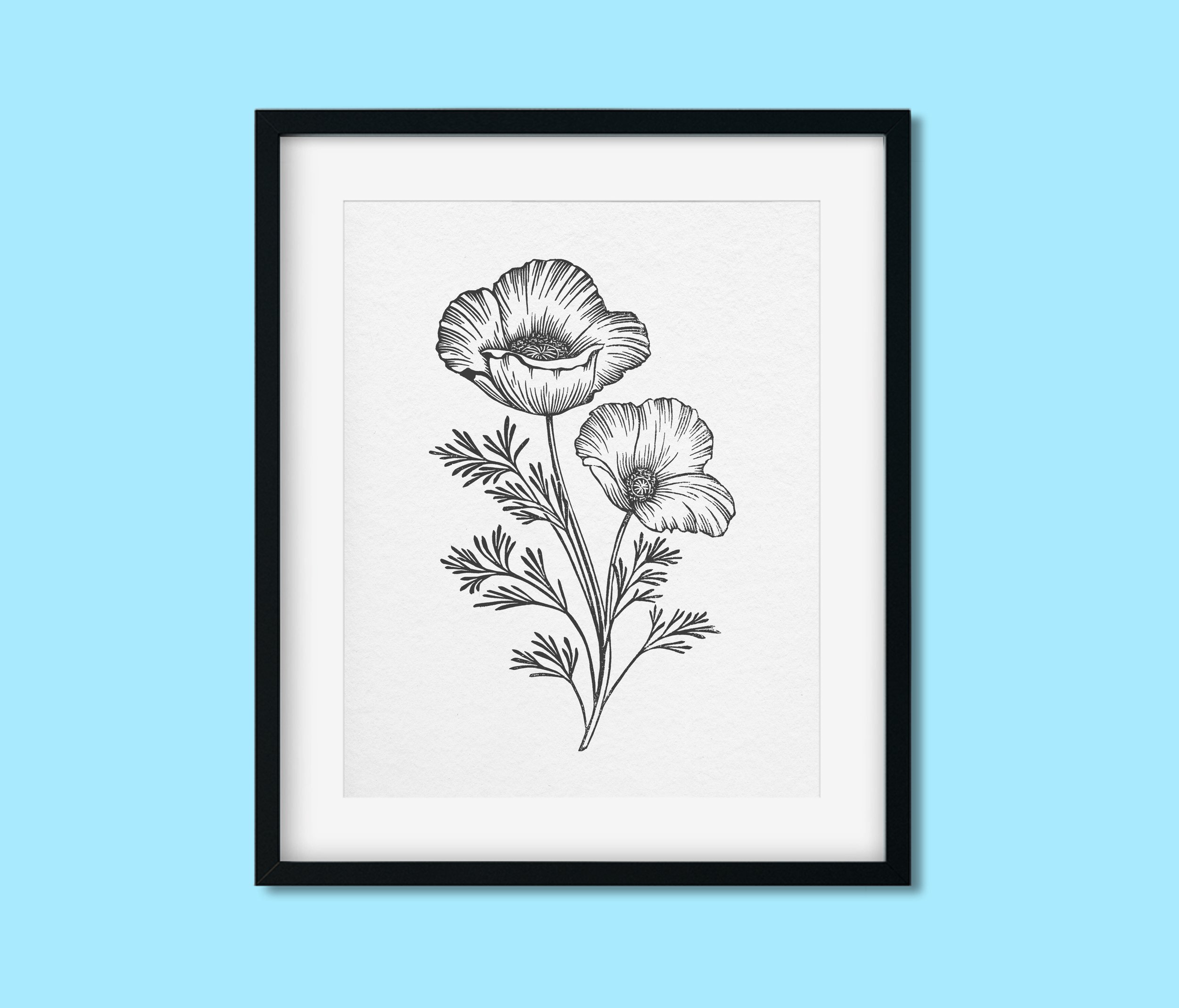 Poppy.3.frame.jpg