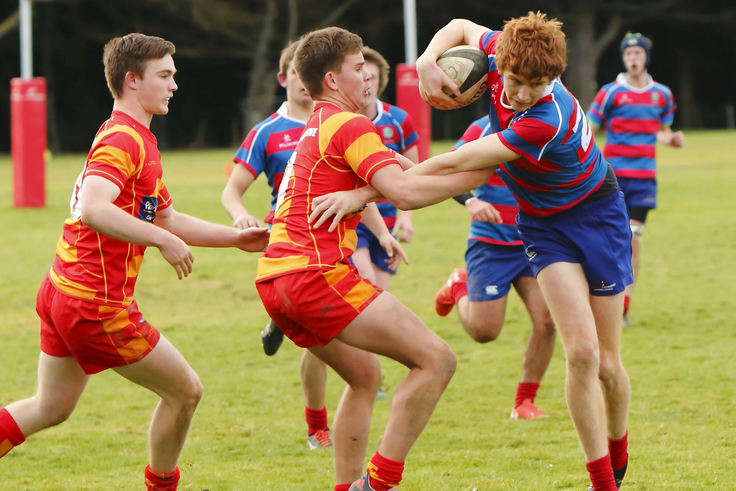 CSC Web Site Images 2019_023.JPG