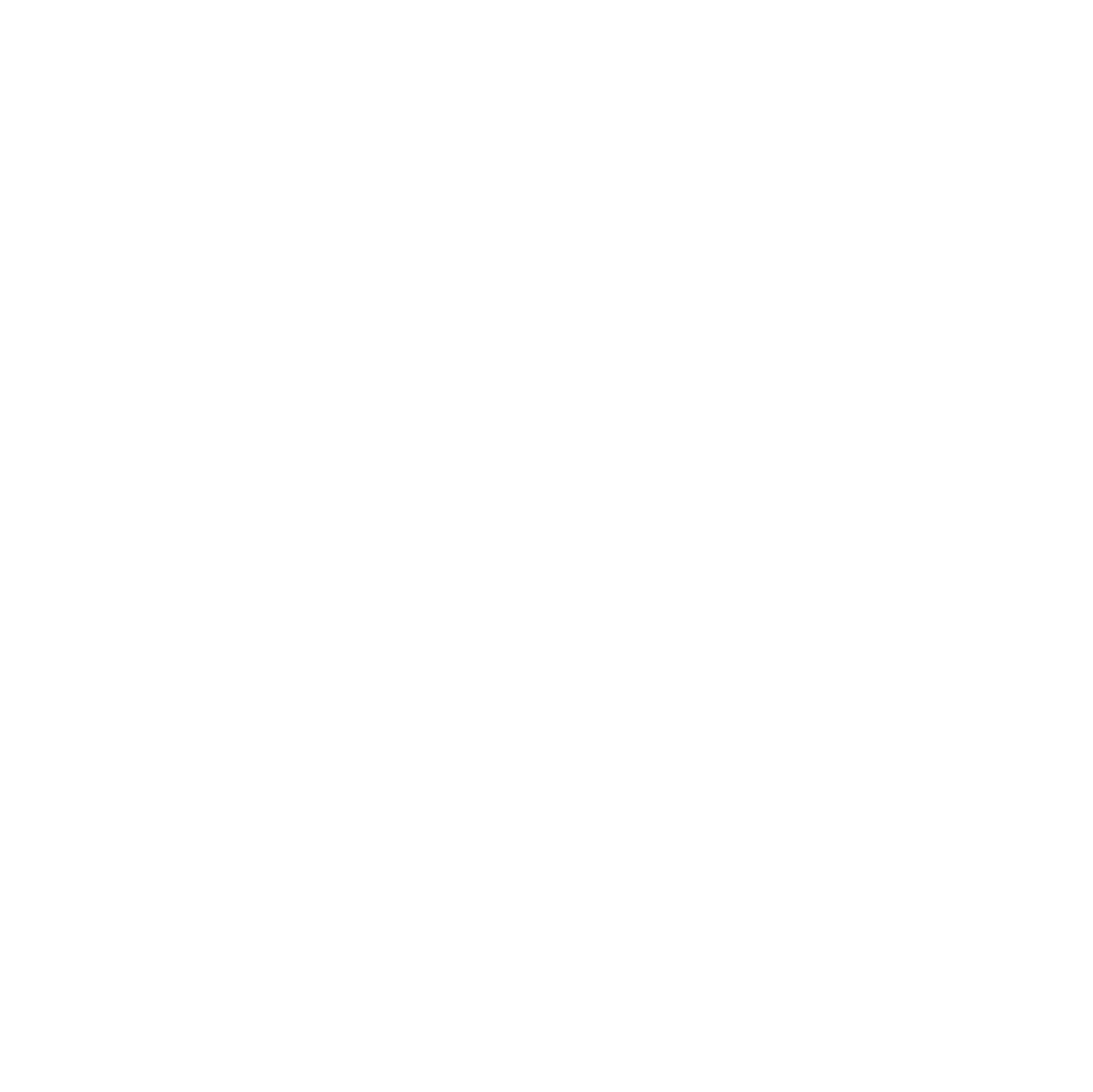 SAS Entertainment Partners