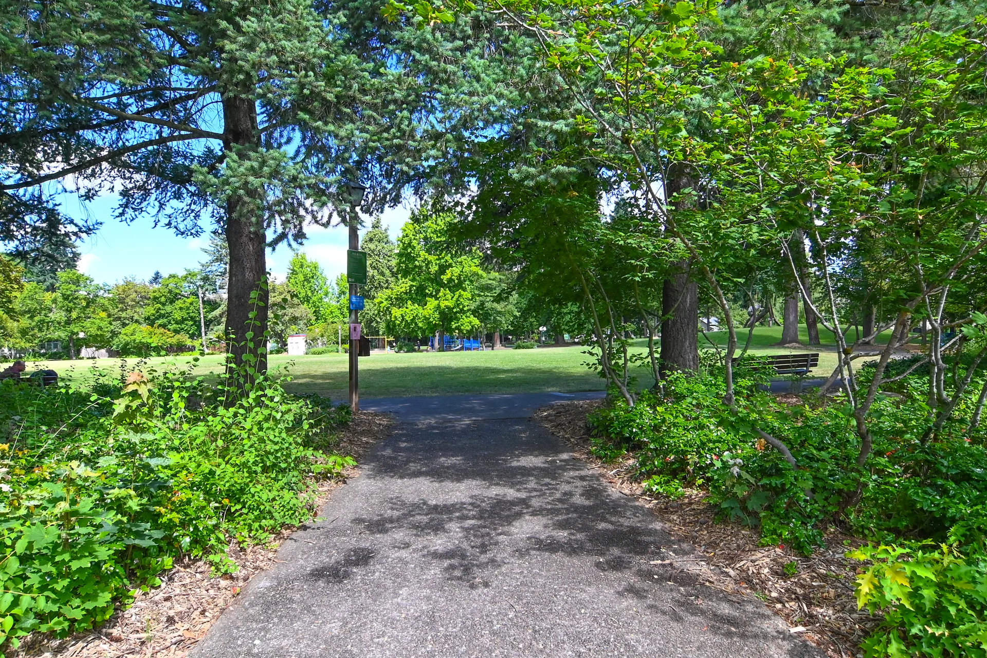 DSC_3579.jpg