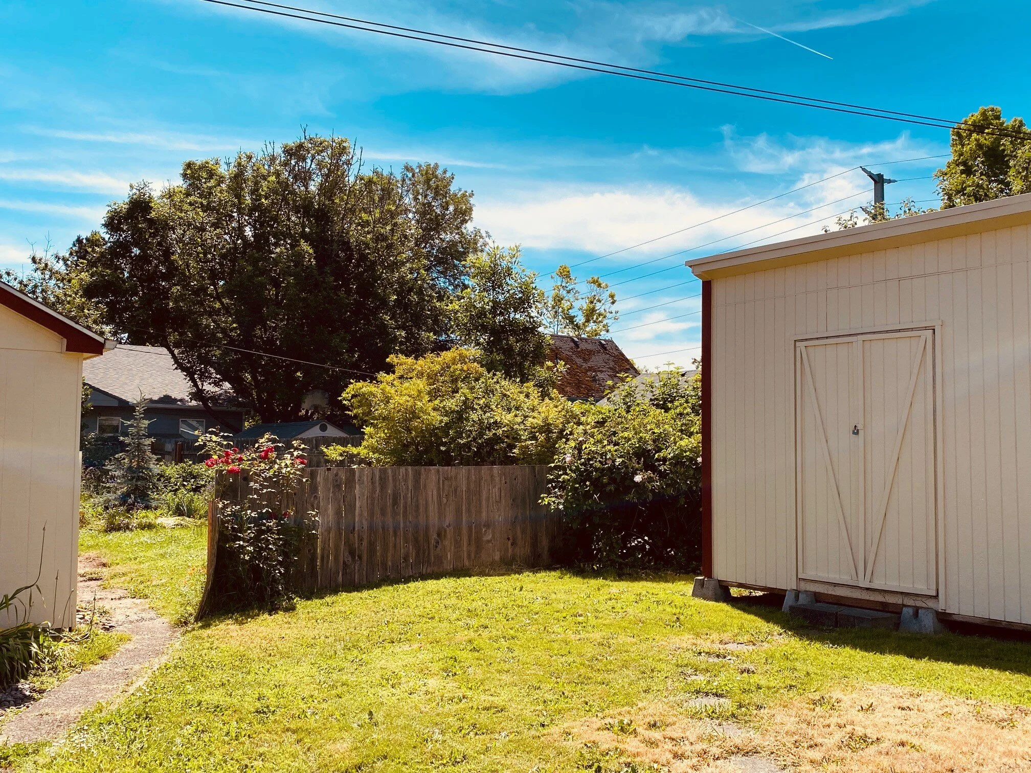 Outside1 - Copy.jpg