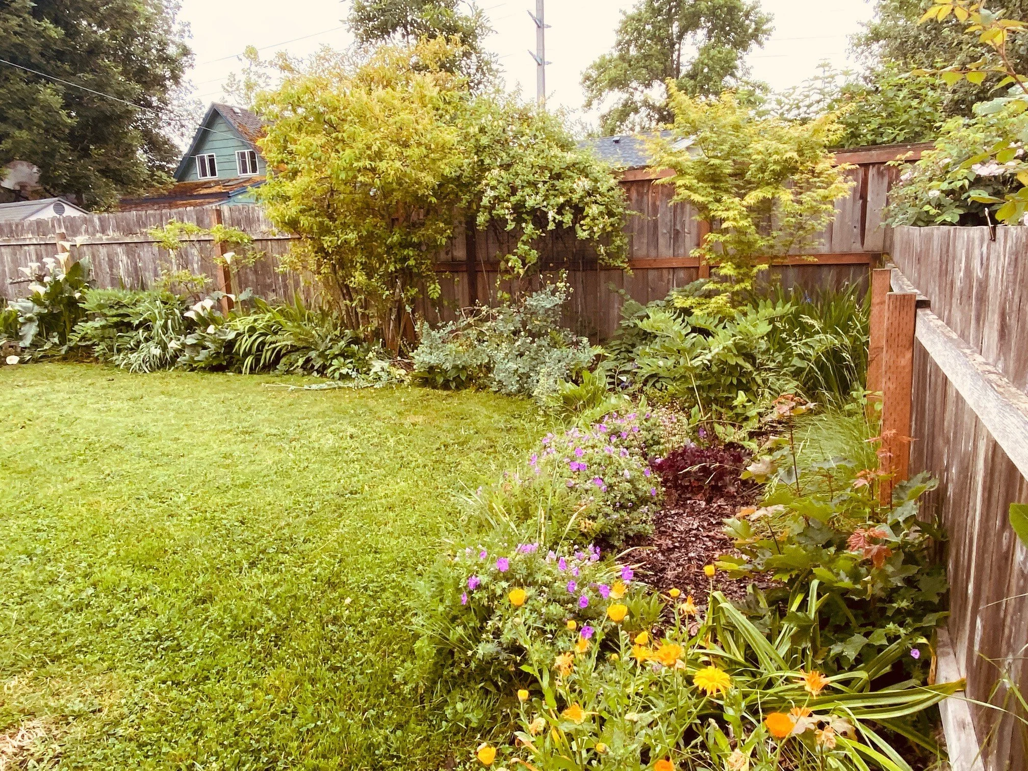 Outside5.jpg