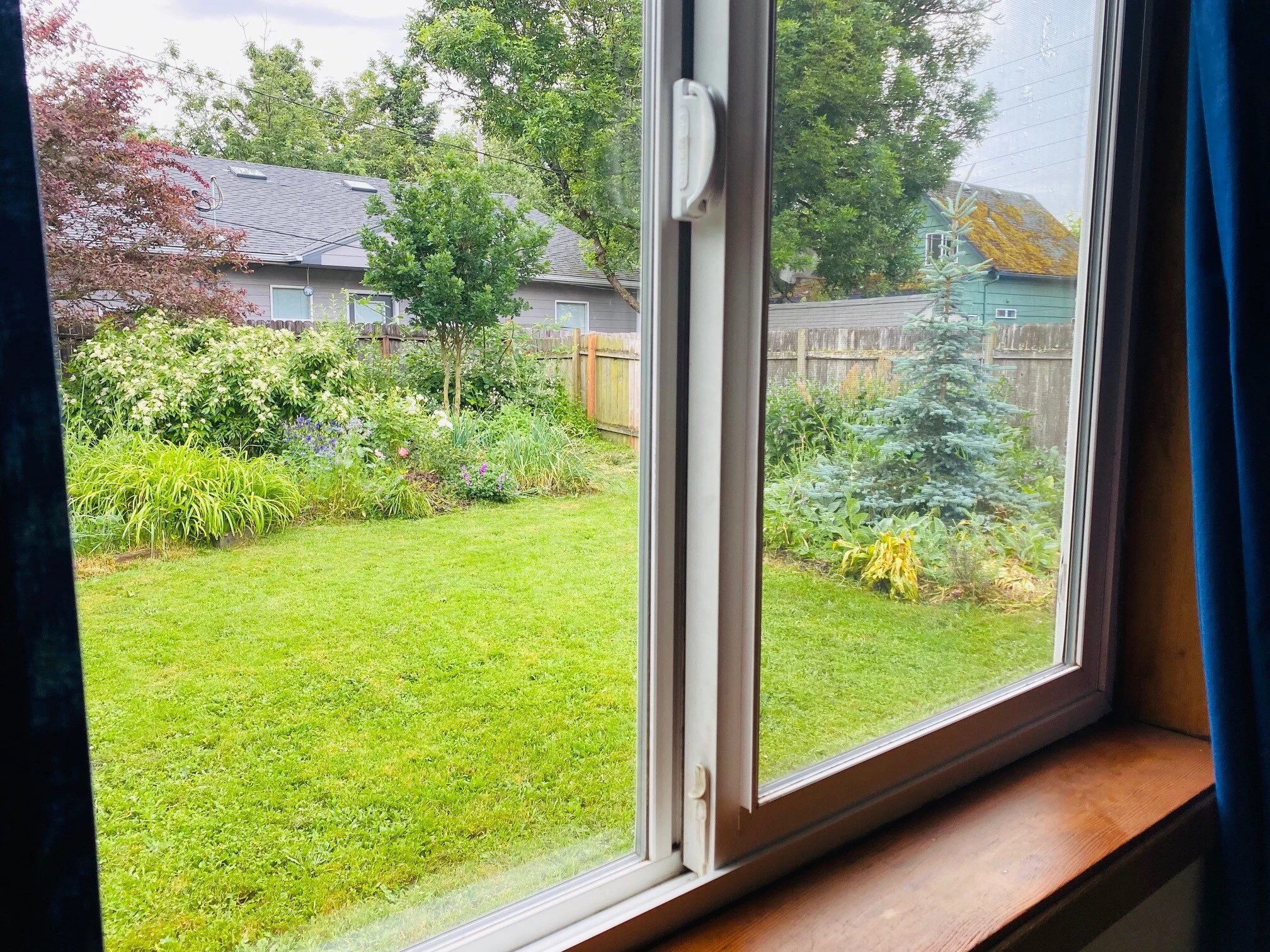 window - Copy.jpg