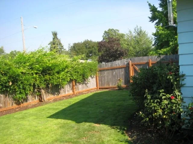 August 2009 100.jpg