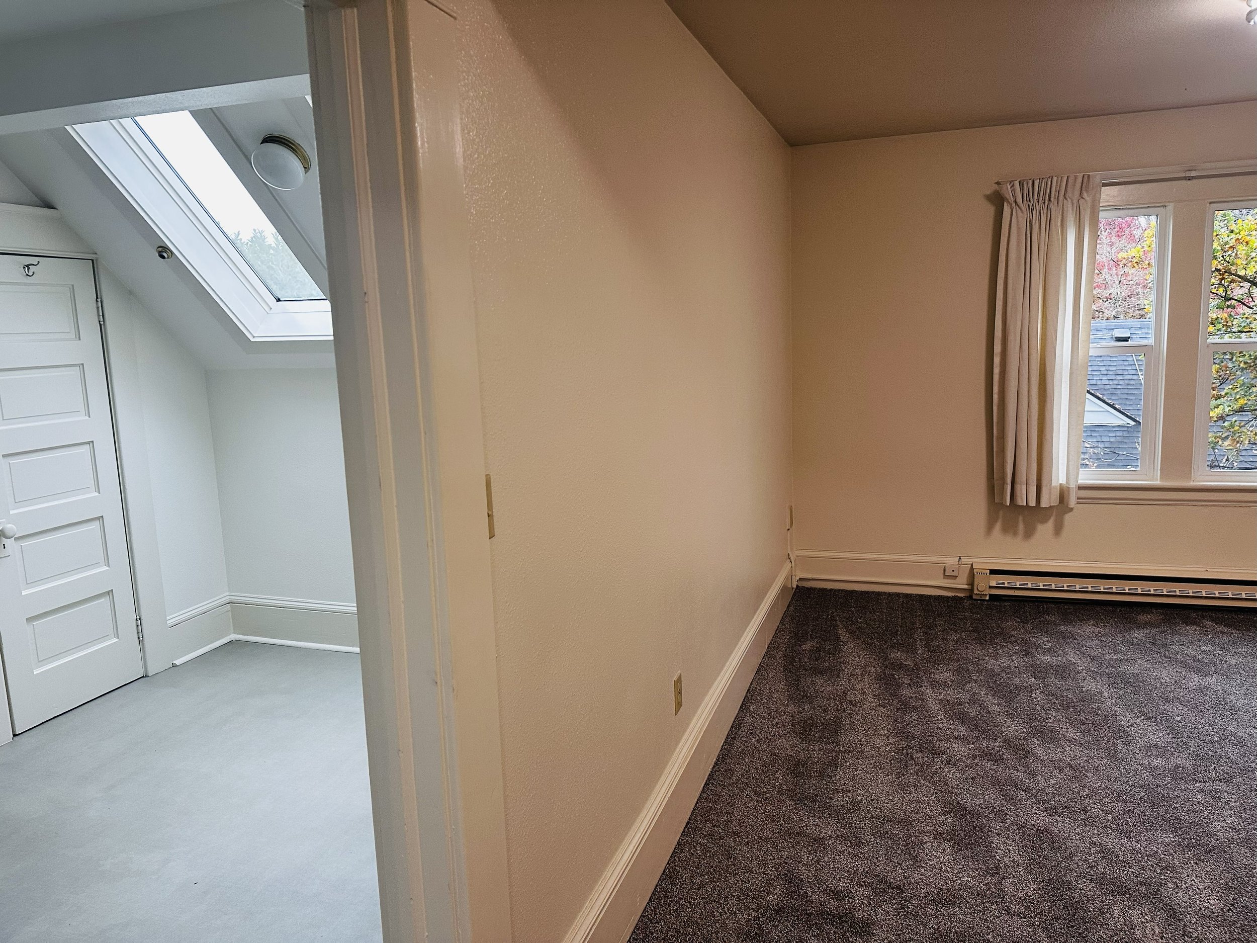 lvgkitchnskylights.jpg