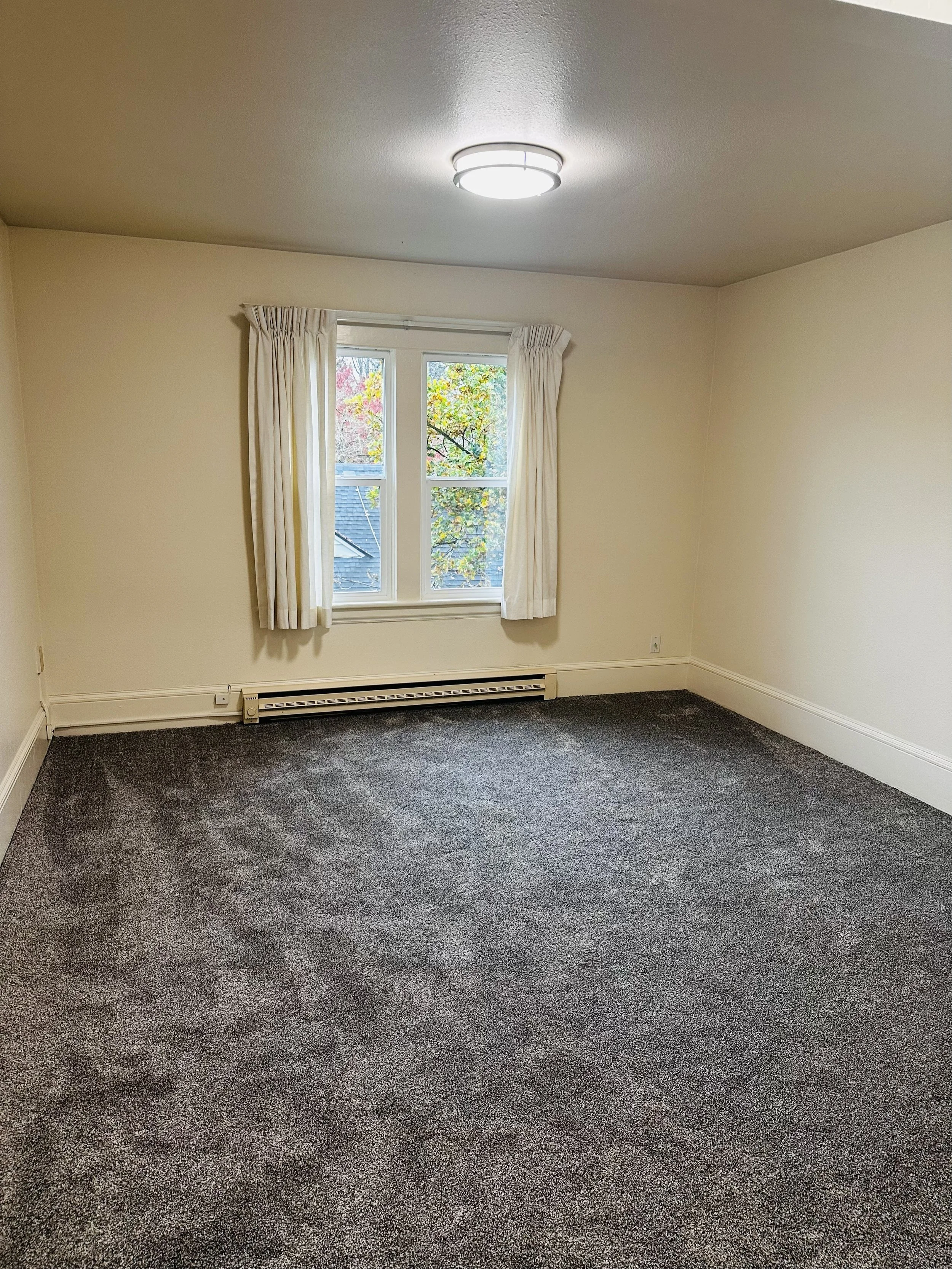 lvgrmnewcarpet.jpg