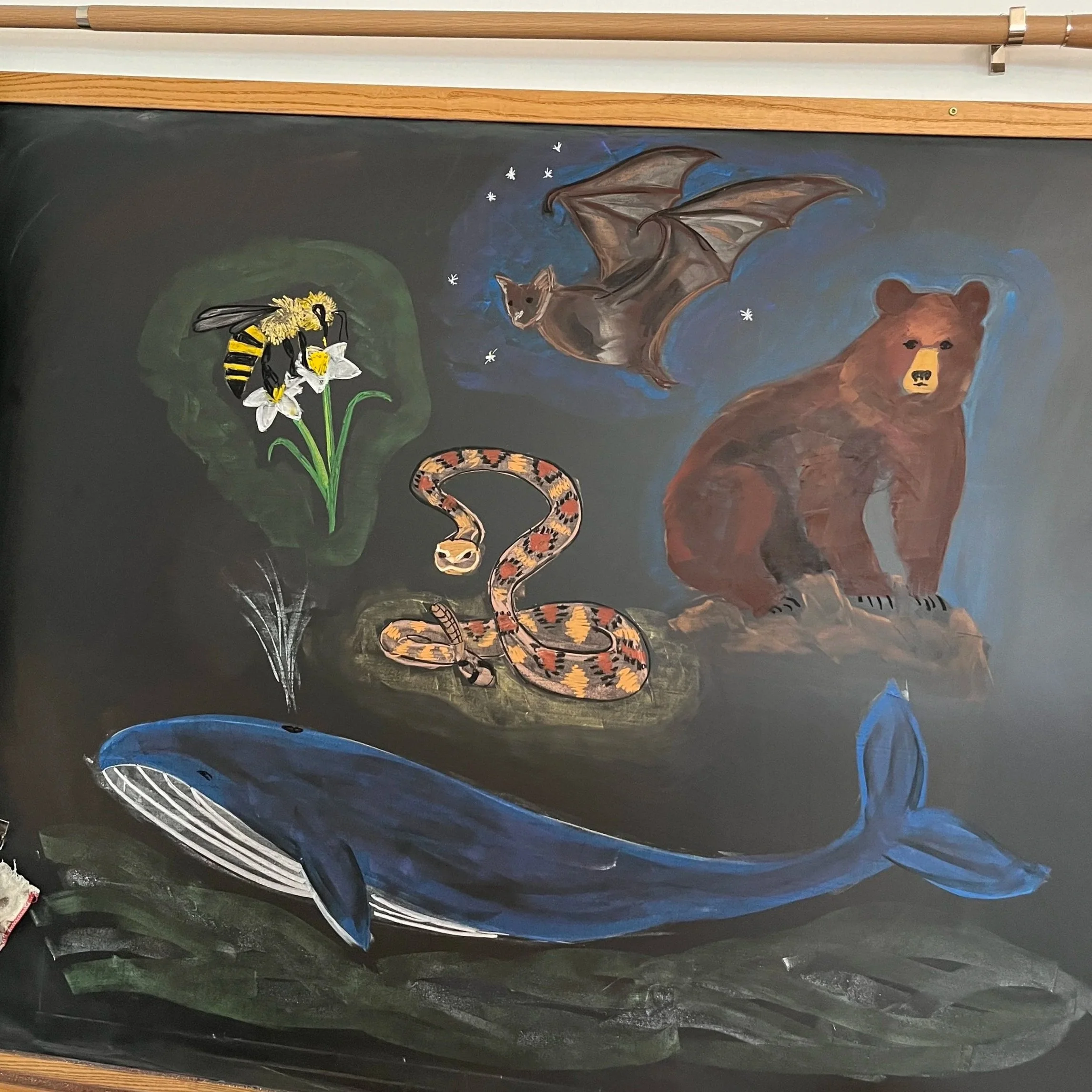 Image_20260220_103640_505.jpg