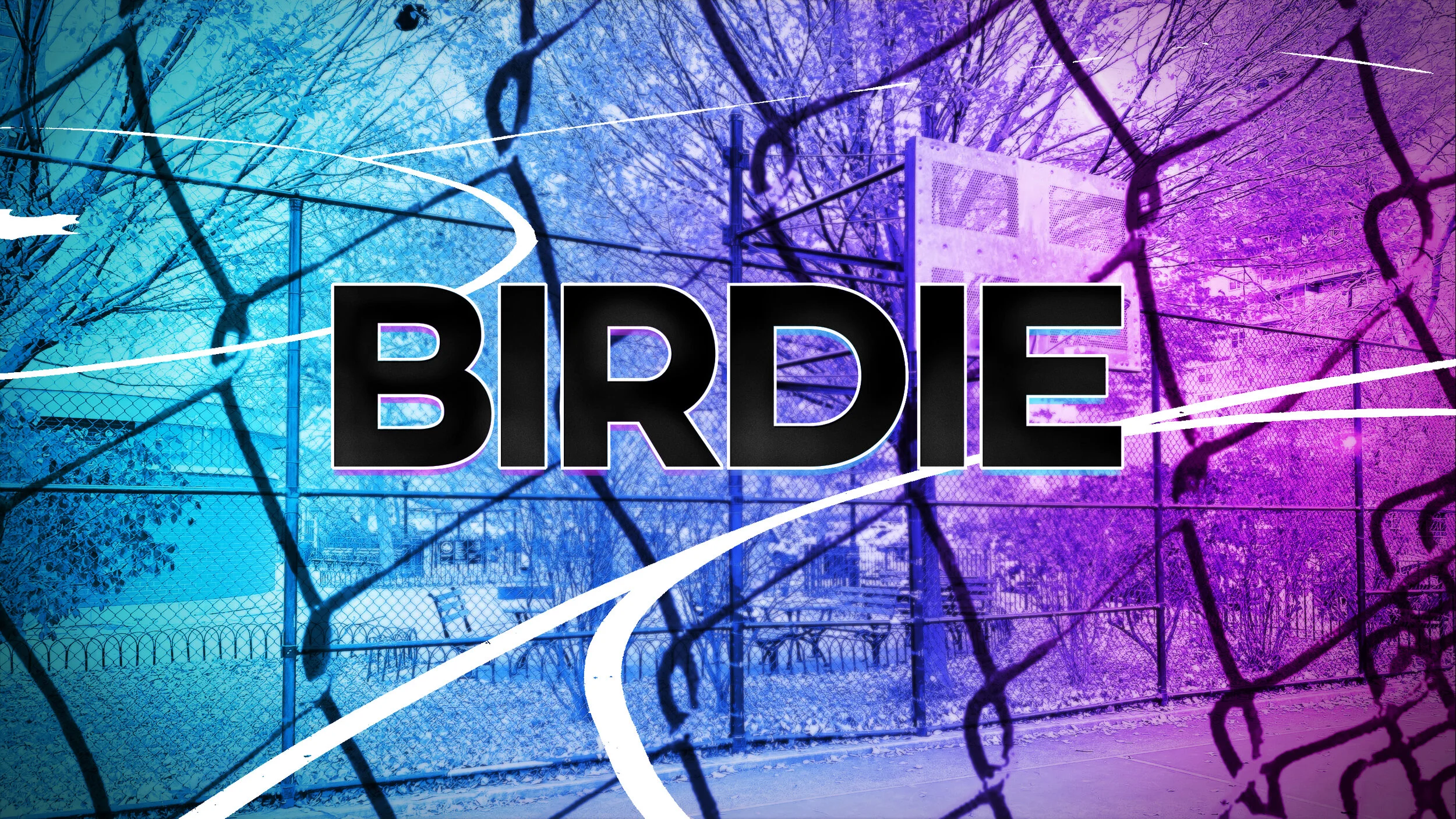 Birdie_01.jpg