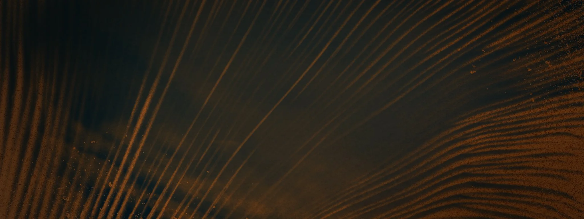 Frame_02.jpg