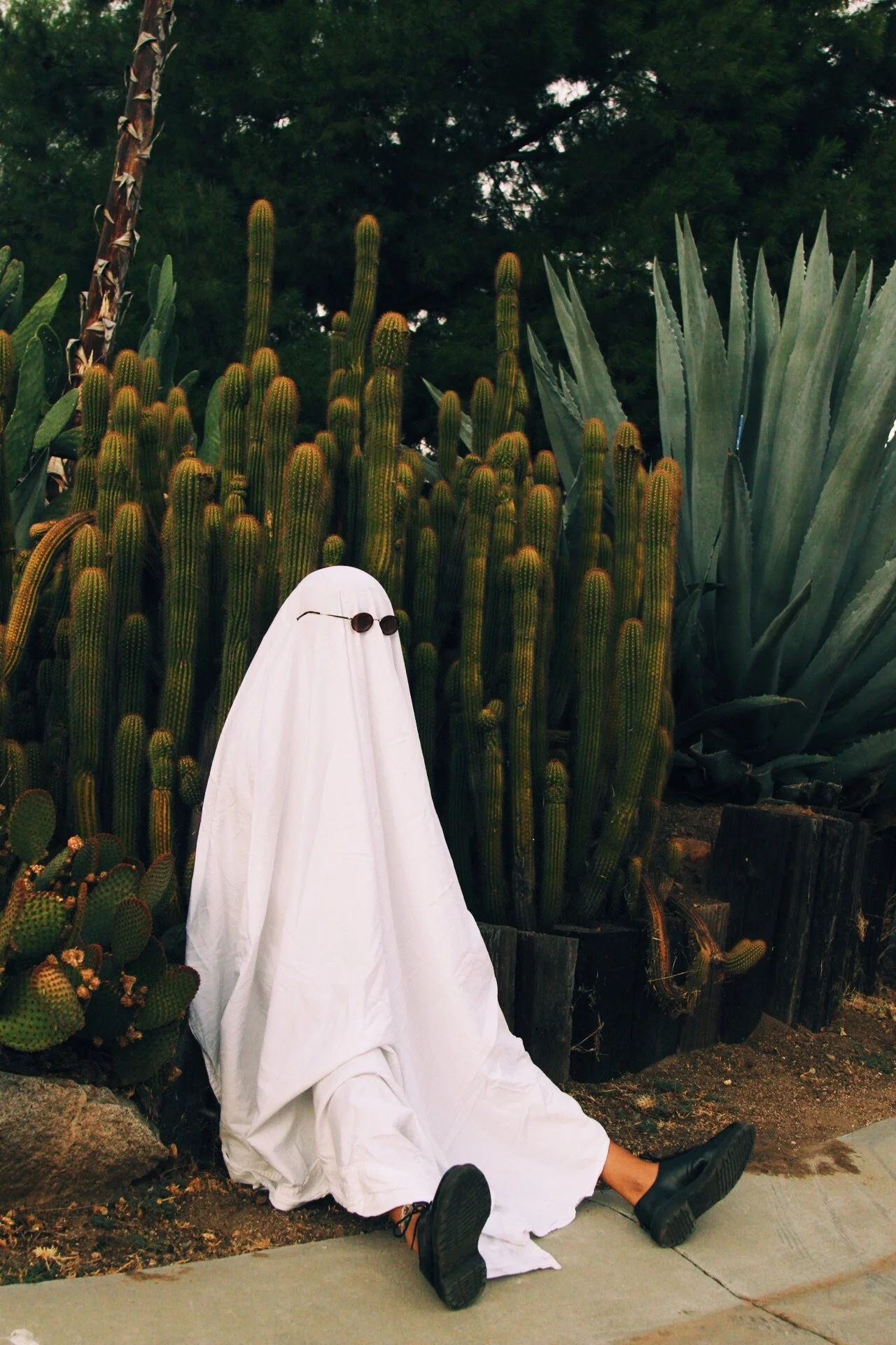 5C8D9888-1205-424B-BC4B-FE9F637BDEE2 2.JPG