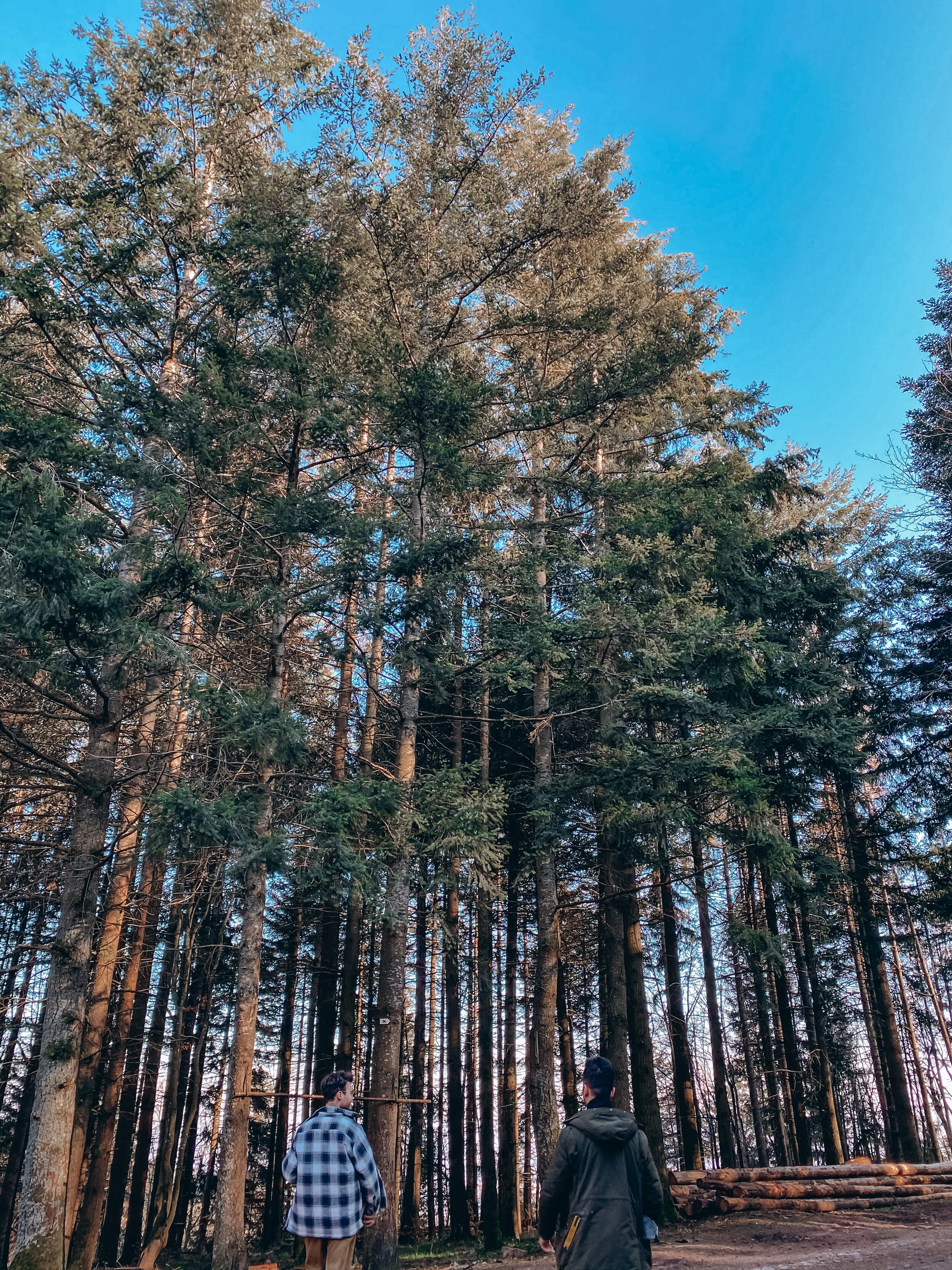 a lot of words for a day when i'm feeling nothing