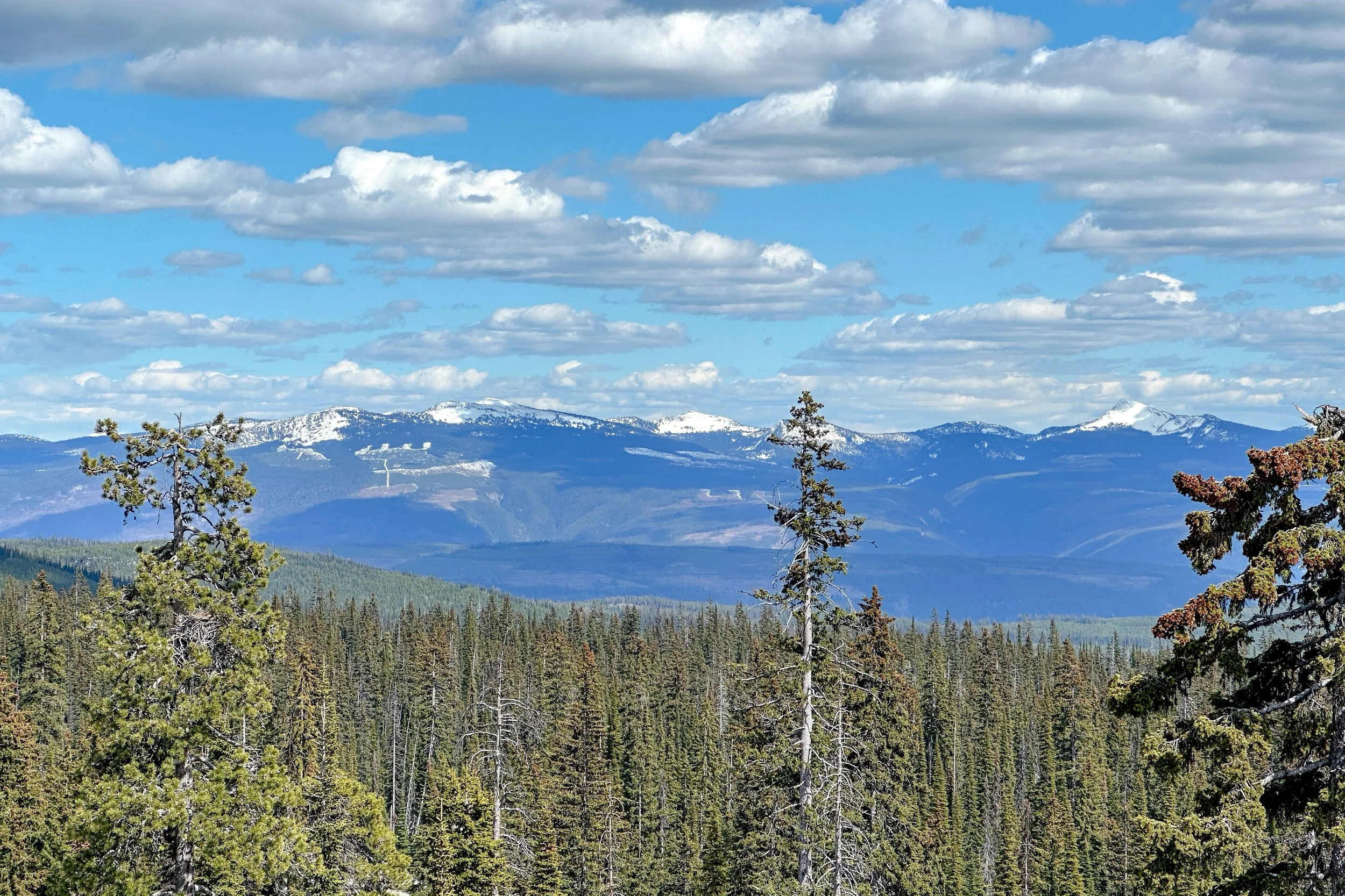img-409-250-feathertop-way-copper-kettle-lodge-condo-big-white-for-sale-30.jpg
