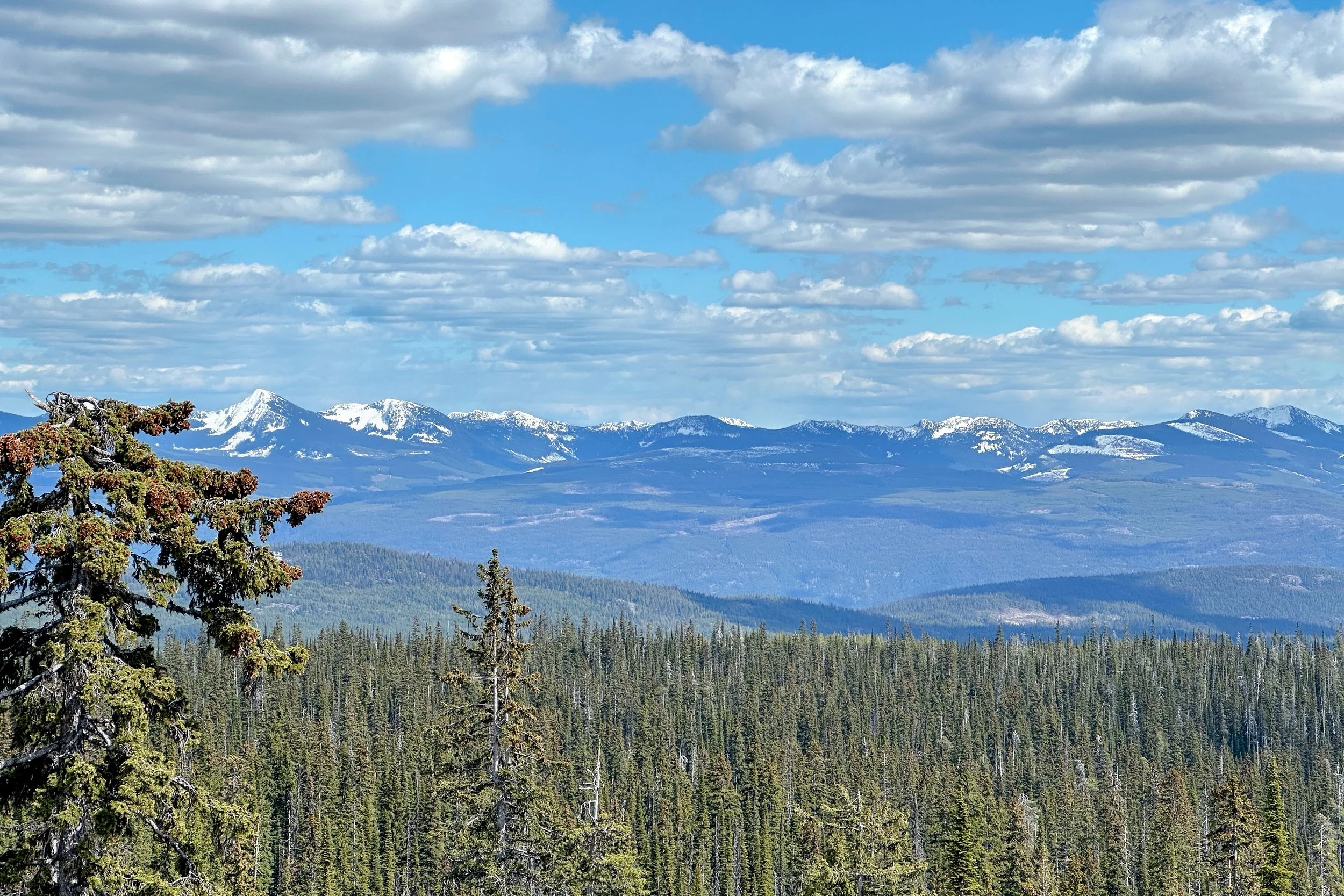 img-409-250-feathertop-way-copper-kettle-lodge-condo-big-white-for-sale-29.jpg