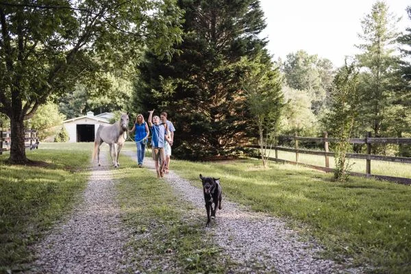 Life on the farm…