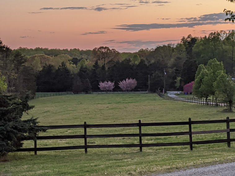 eventspringpasturesunset.jpg