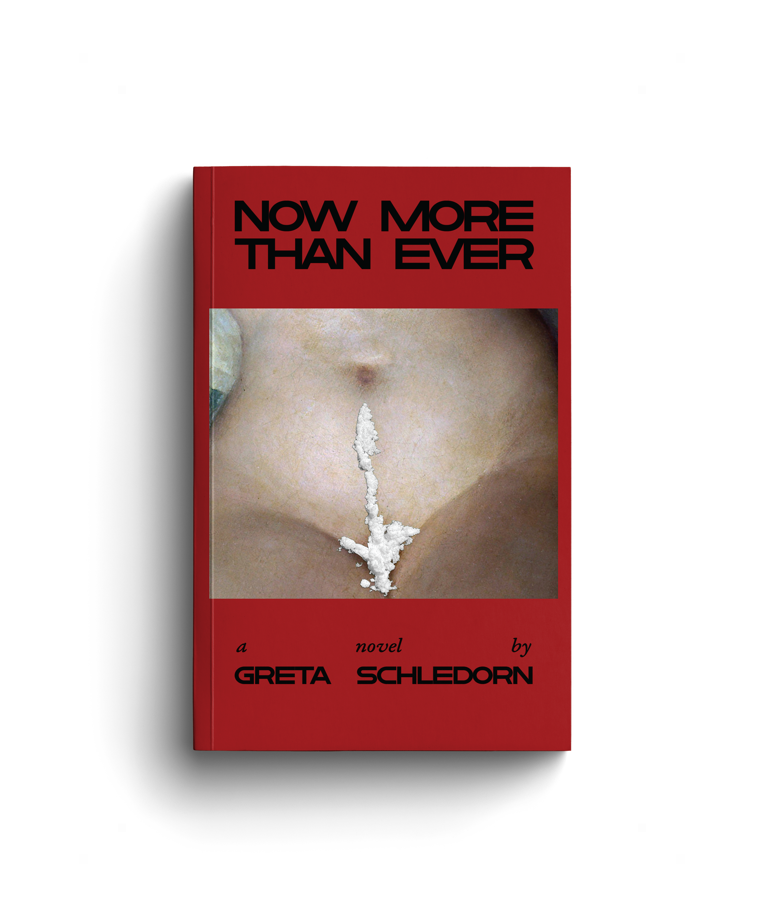 PREORDER Now More Than Ever by Greta Schledorn