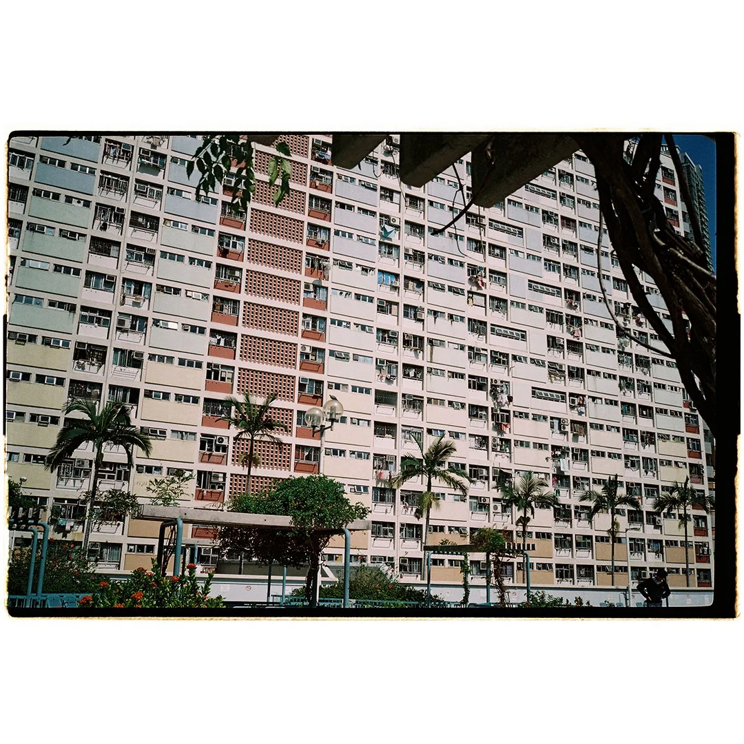 High-rise apartment building with multiple windows, palm trees, and a park-like area in the foreground.