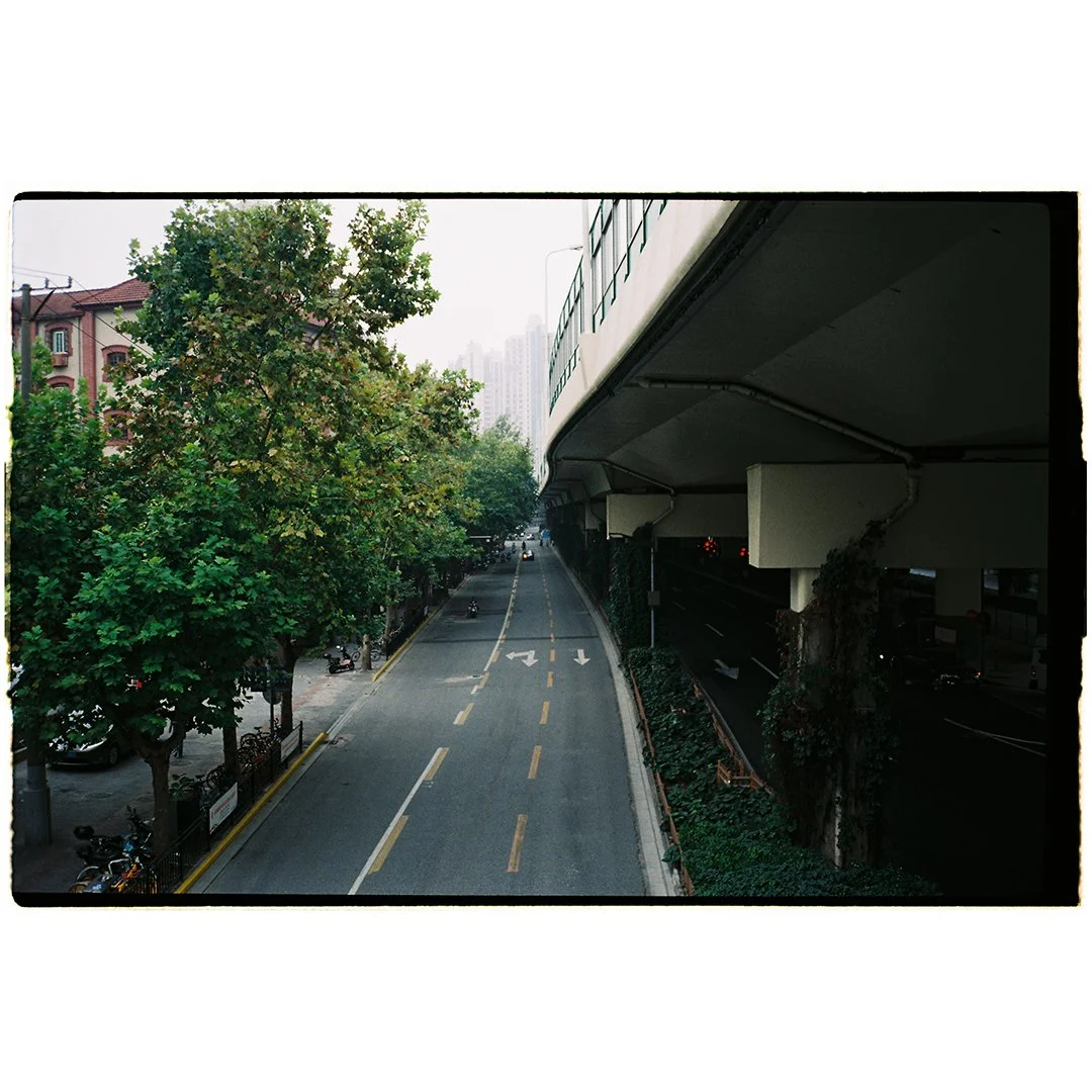 Empty city street with trees on the left and an overpass on the right in an urban area.