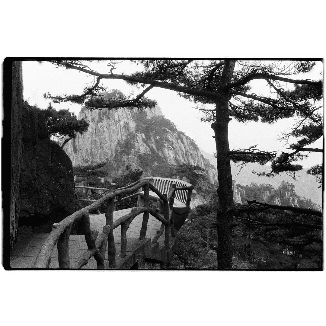 Black and white photo of a mountain landscape with a bench and a wooden railing on a trail, surrounded by pine trees.