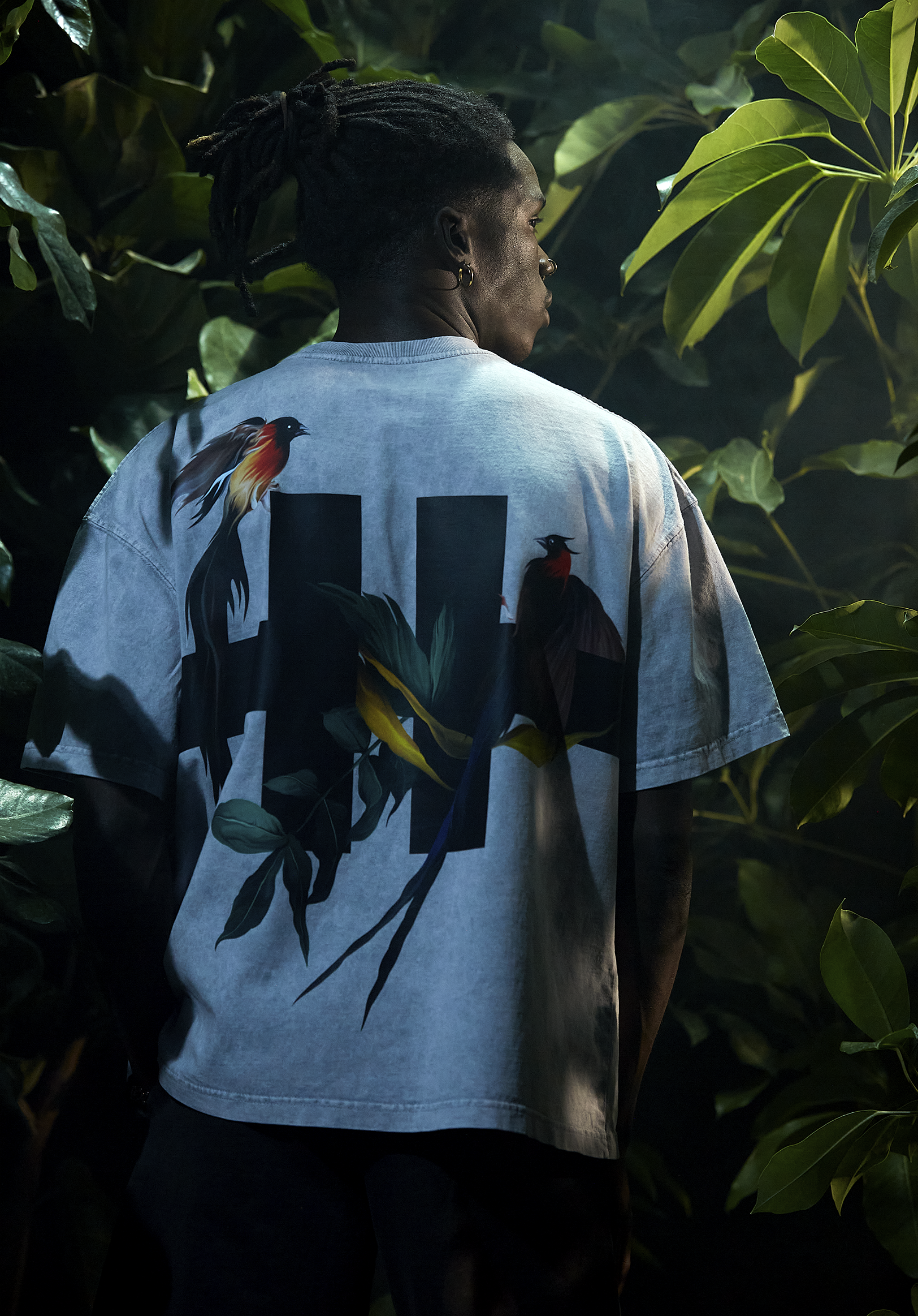 Back of a man with dark skin and dreadlocks, wearing a light blue t-shirt with colorful bird and plant designs, standing among large green leaves in a botanical setting.