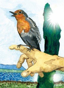 Shaping the Future with the Sidhe